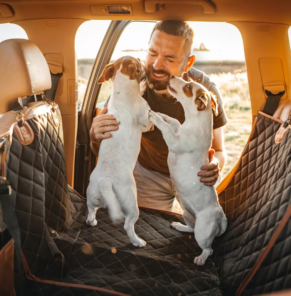 Joyful moment with two small dogs on Car Dog Hammock during sunny outdoor travel